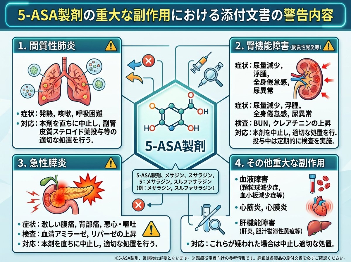 5asa製剤の重大な副作用における添付文書の警告内容