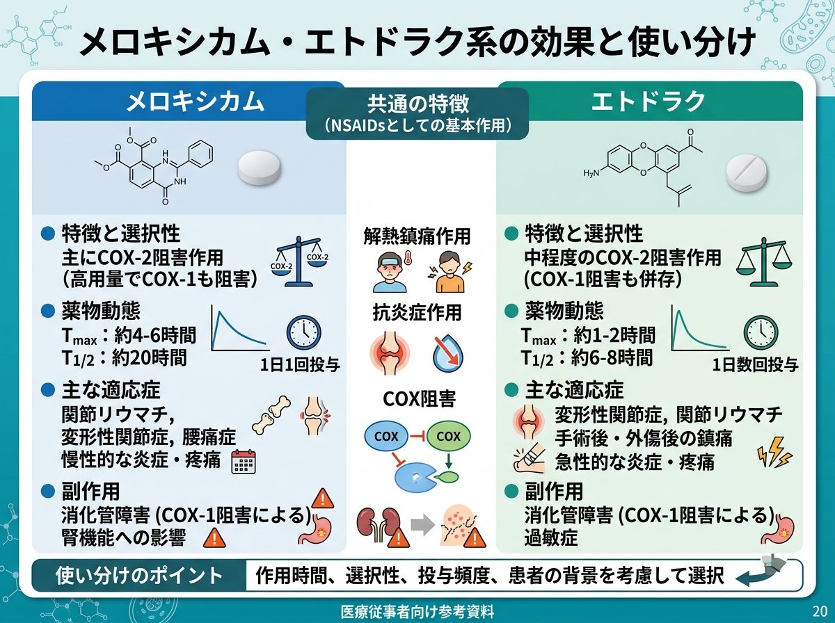 メロキシカム・エトドラク系の効果と使い分け