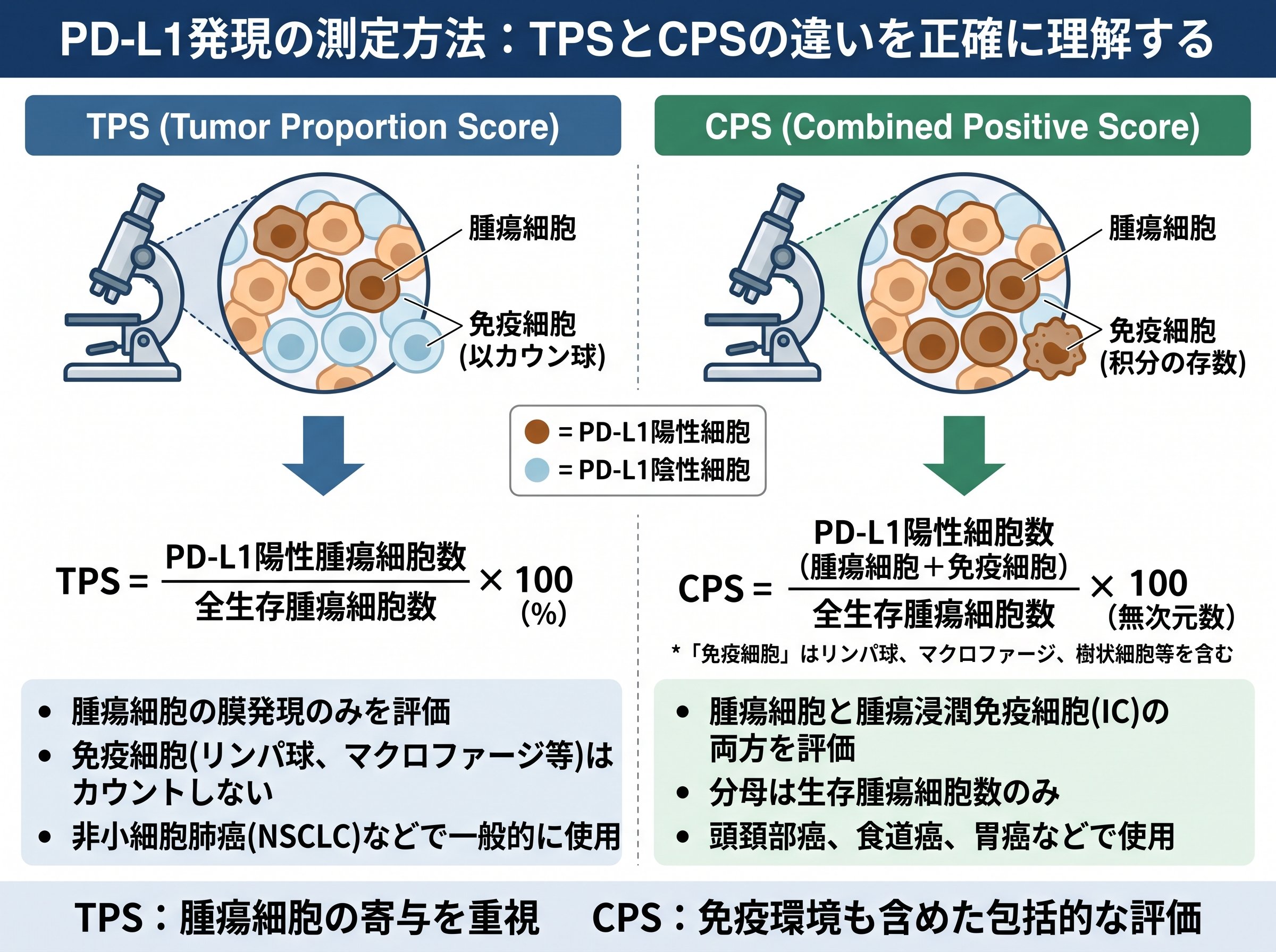 PD-L1発現の測定方法：TPSとCPSの違いを正確に理解する