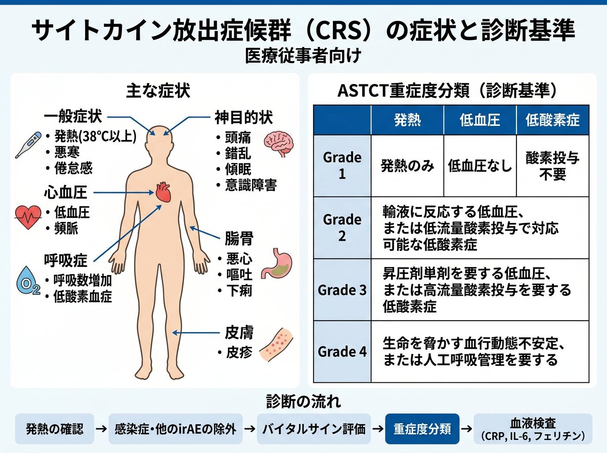 制御性Tリンパ球による免疫応答の調節機構