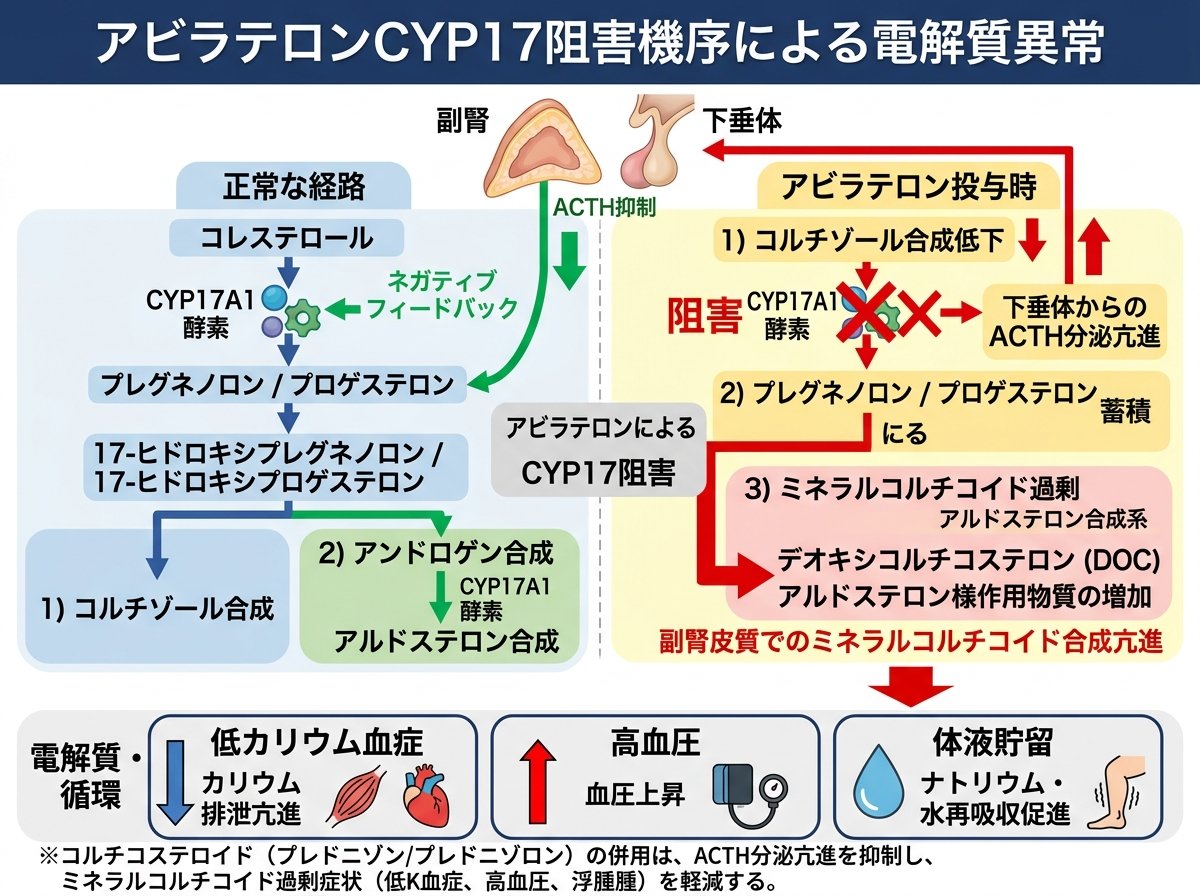 アビラテロンCYP17阻害機序による電解質異常