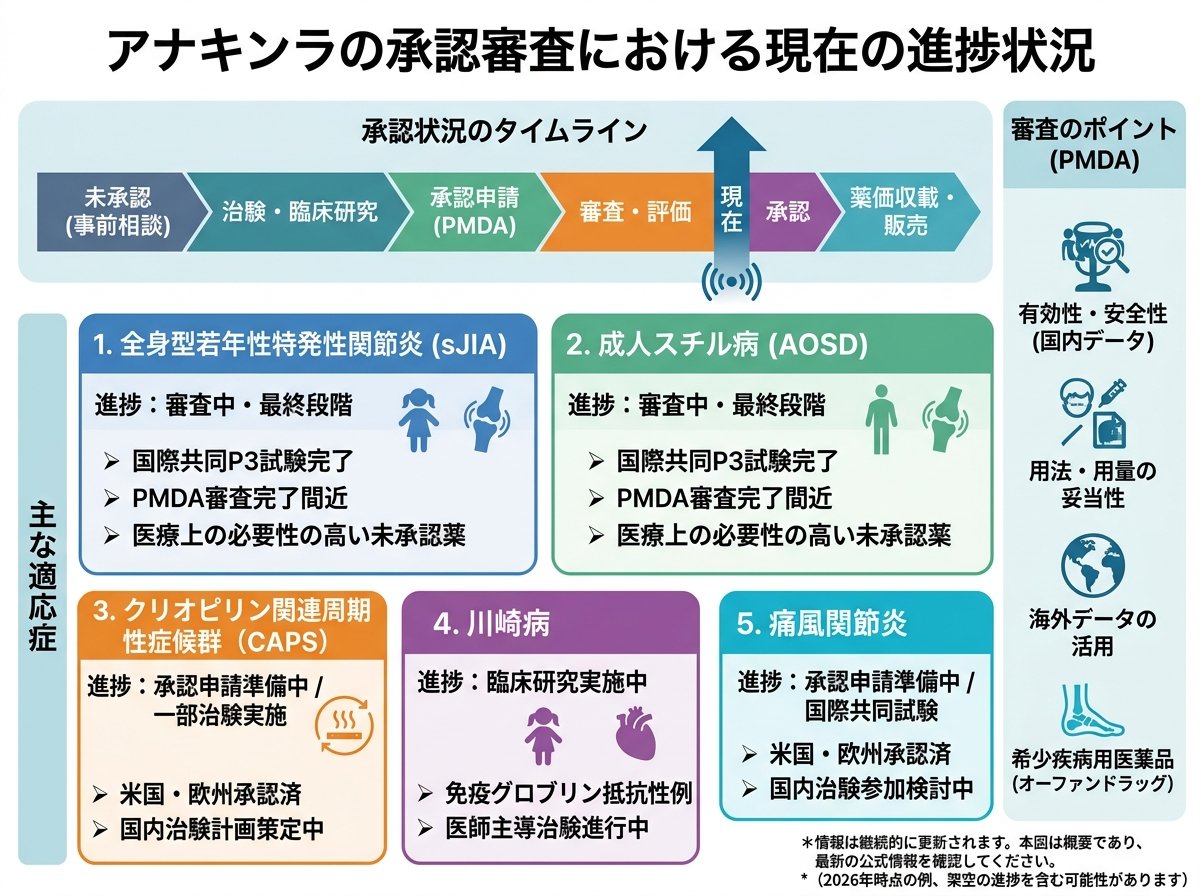 アナキンラの承認審査における現在の進捗状況