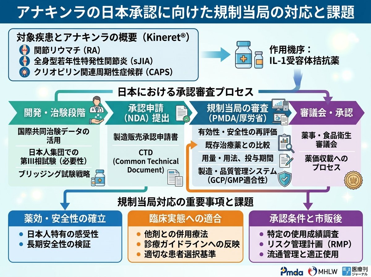 アナキンラの日本承認に向けた規制当局の対応