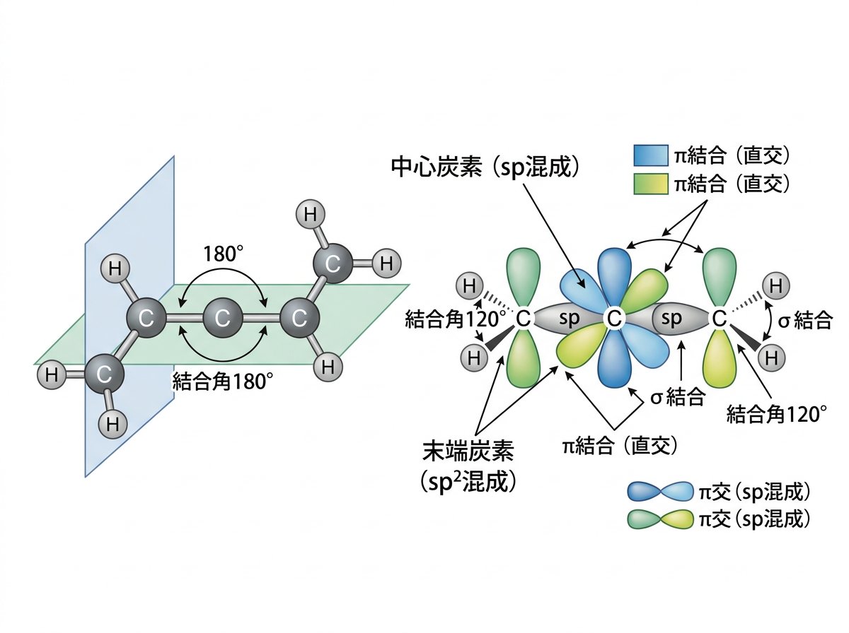 アレン混成軌道の基本的な分子構造と結合特性