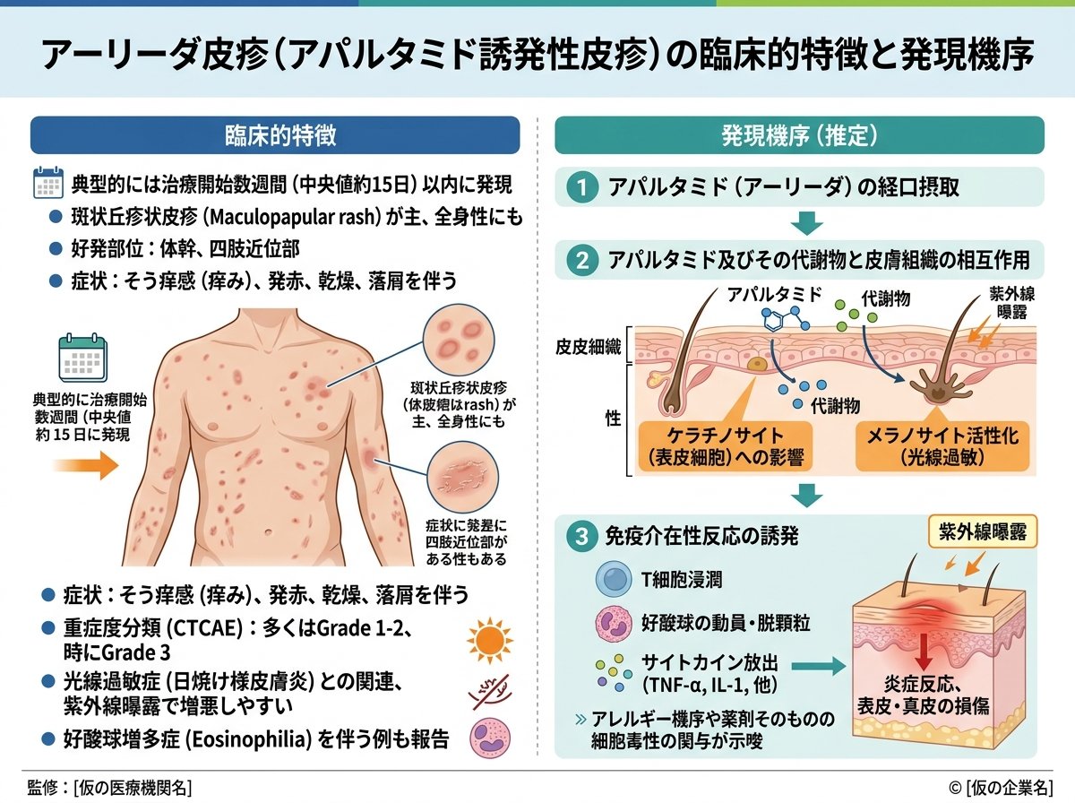 アーリーダ皮疹の臨床的特徴と発現機序