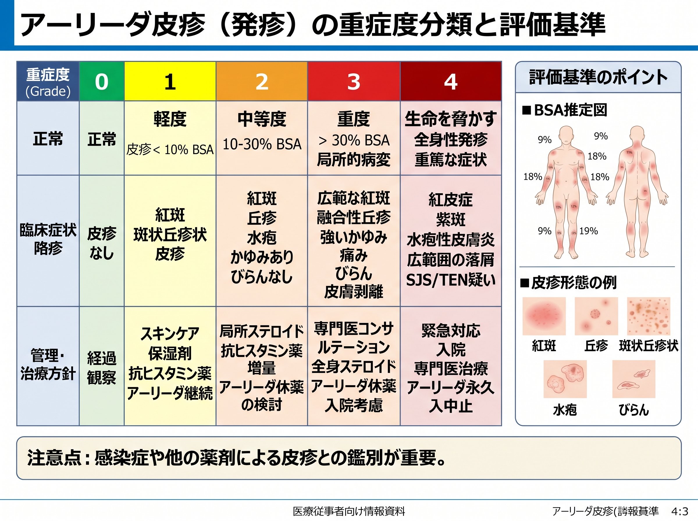 アーリーダ皮疹の重症度分類と評価基準