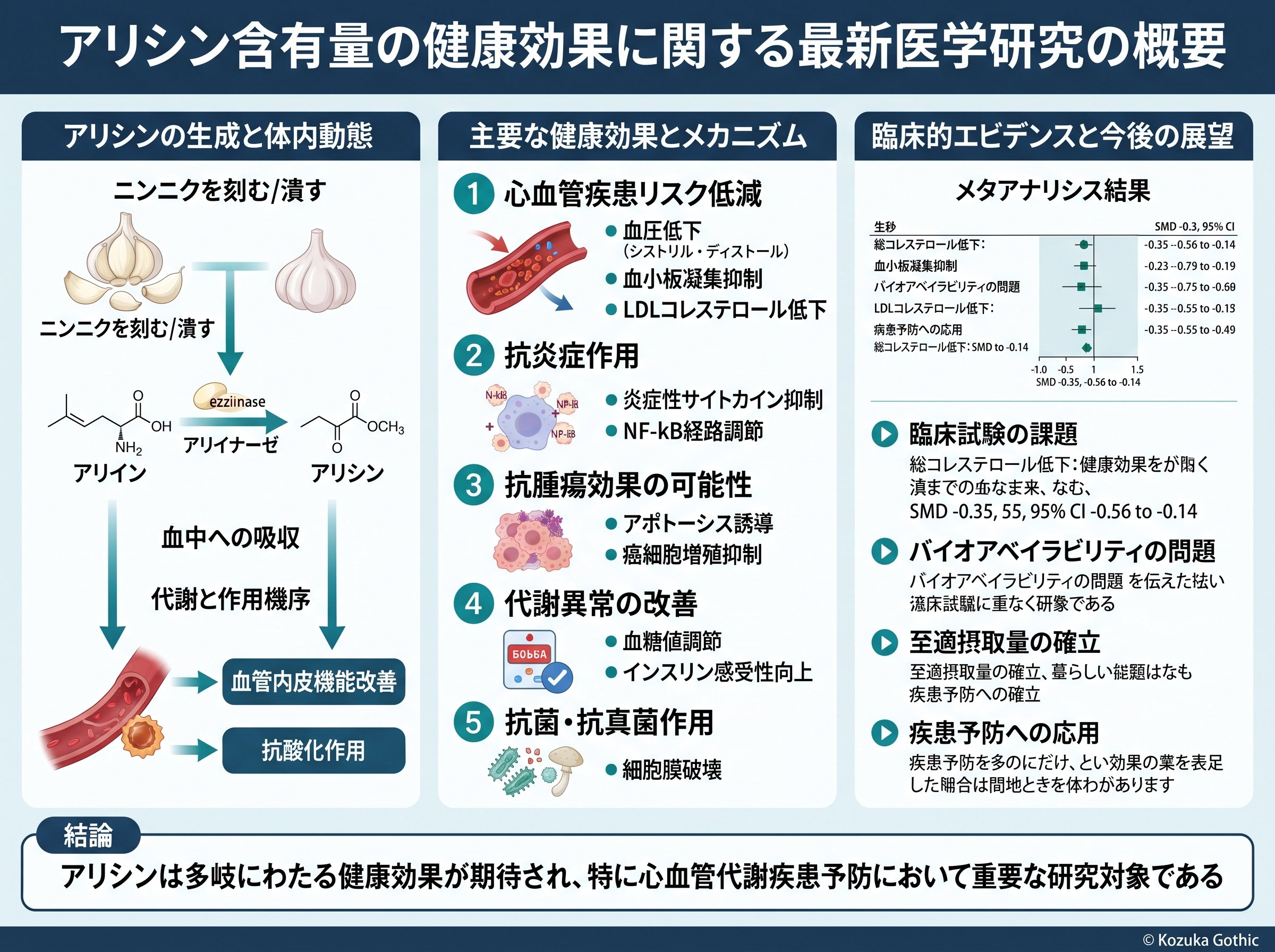 アリシン含有量の健康効果に関する最新医学研究