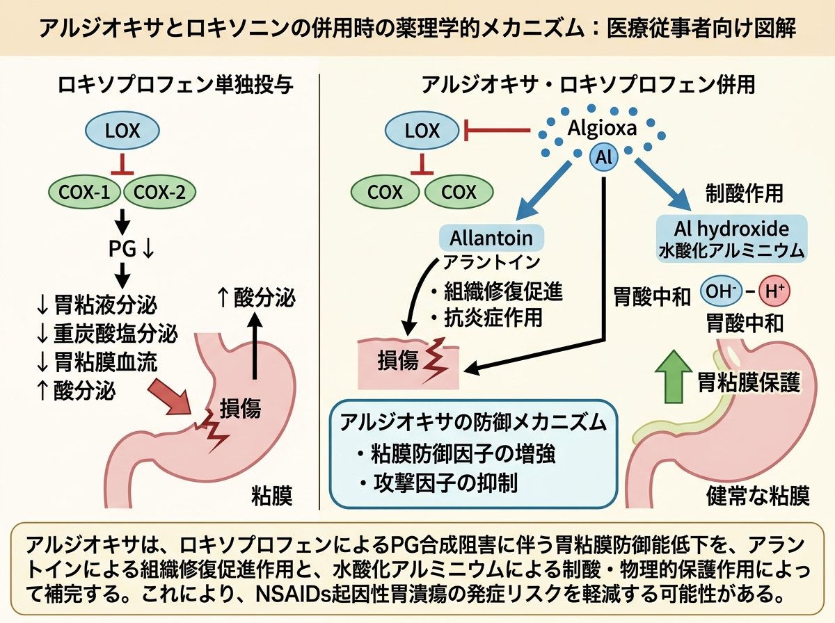 アルジオキサ ロキソニン併用時の薬理学的メカニズム