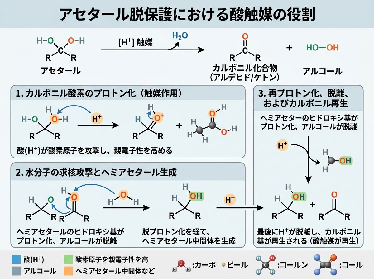 アセタール脱保護における酸触媒の役割