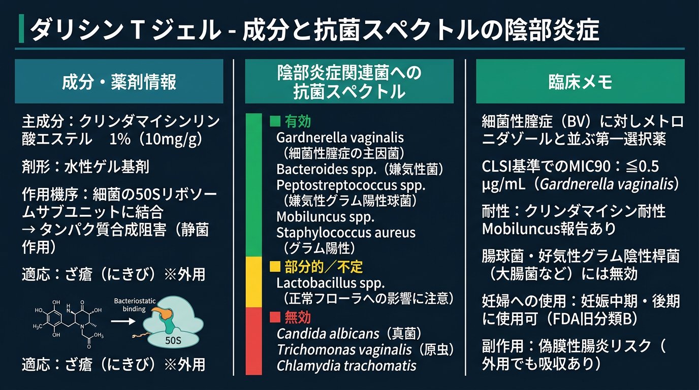 ダラシンtゲルの成分と陰部炎症への抗菌スペクトル