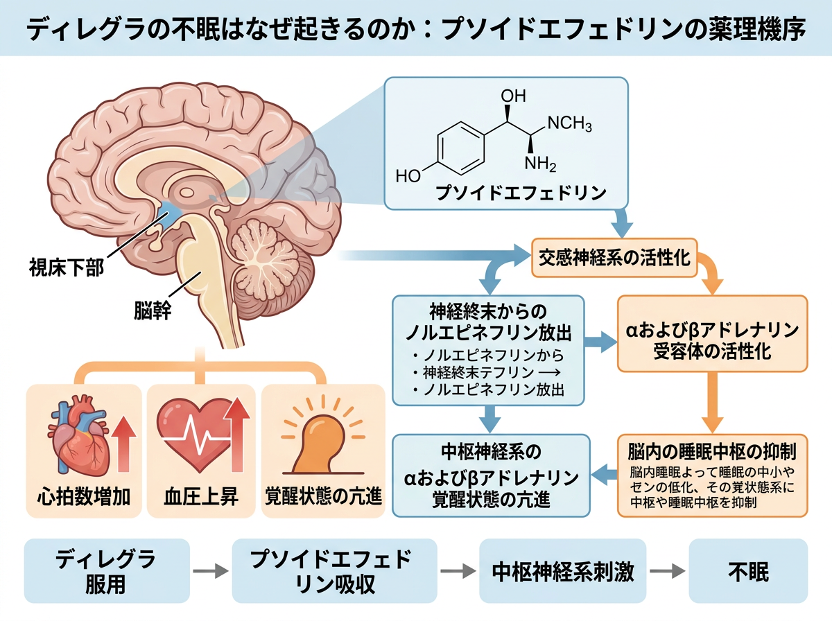 ディレグラの不眠はなぜ起きるのか：プソイドエフェドリンの薬理機序