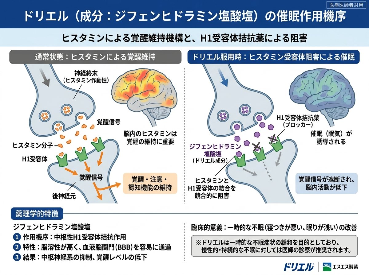 ドリエル成分機序とヒスタミン受容体阻害