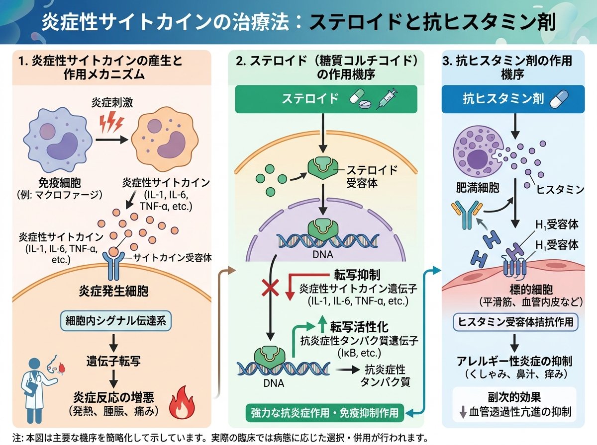 炎症性サイトカインの治療法:ステロイドと抗ヒスタミン剤