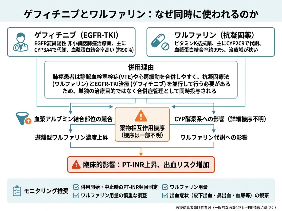 ゲフィチニブとワルファリン:なぜ同時に使われるのか