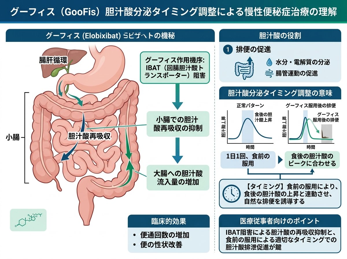 グーフィス胆汁酸分泌タイミング調整