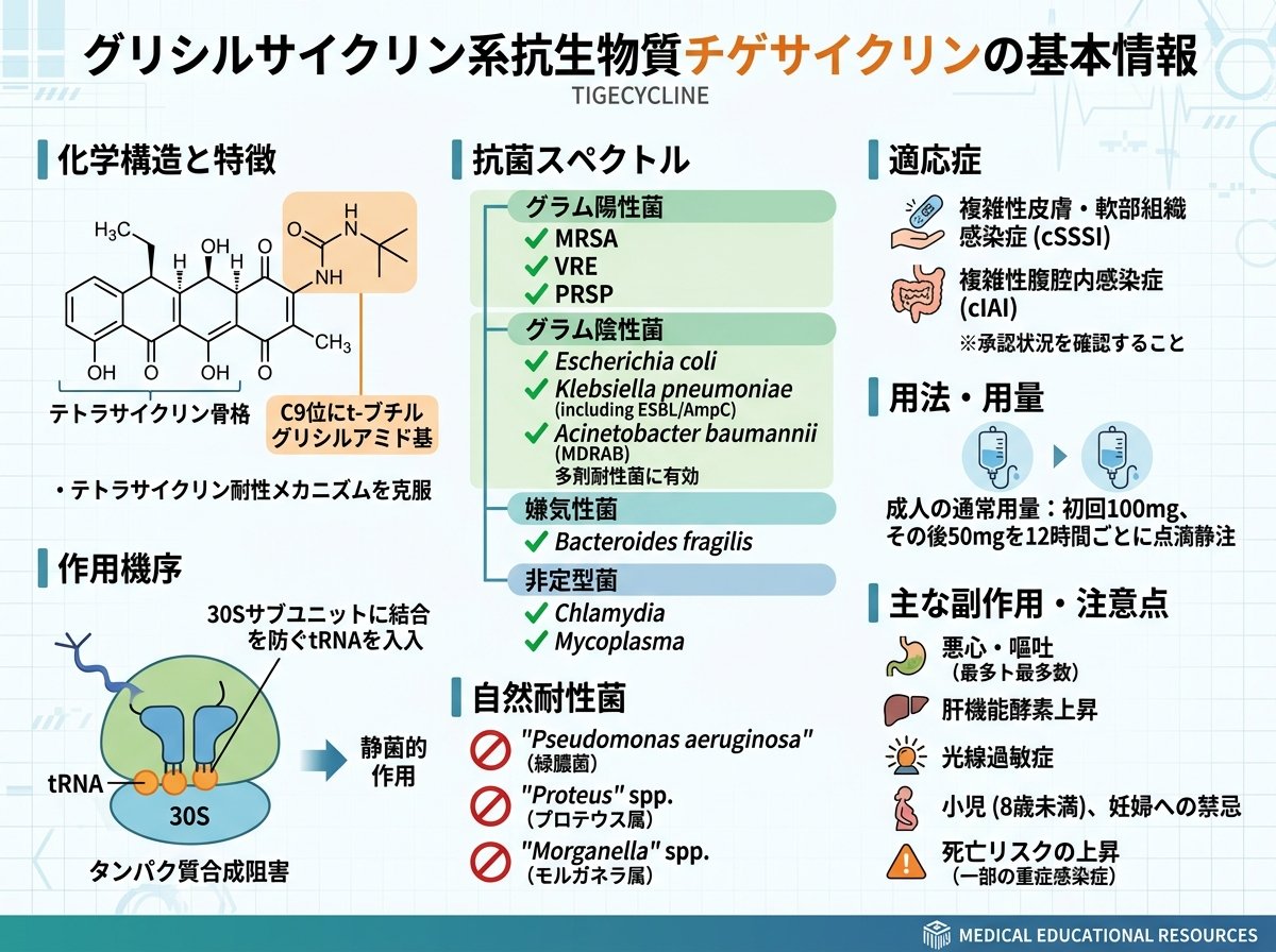 グリシルサイクリン系抗生物質チゲサイクリンの基本情報