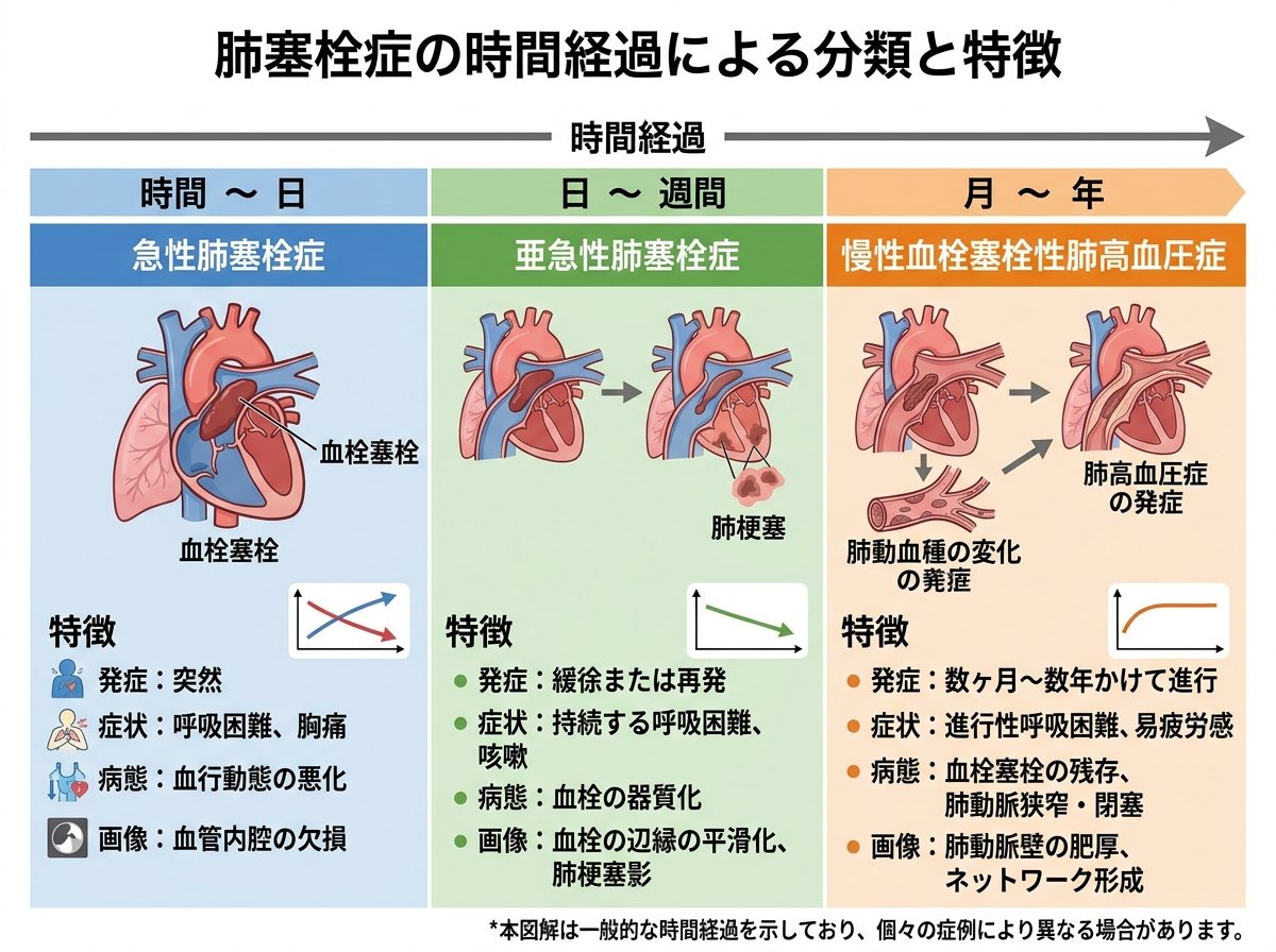 肺塞栓症の時間経過による種類と特徴