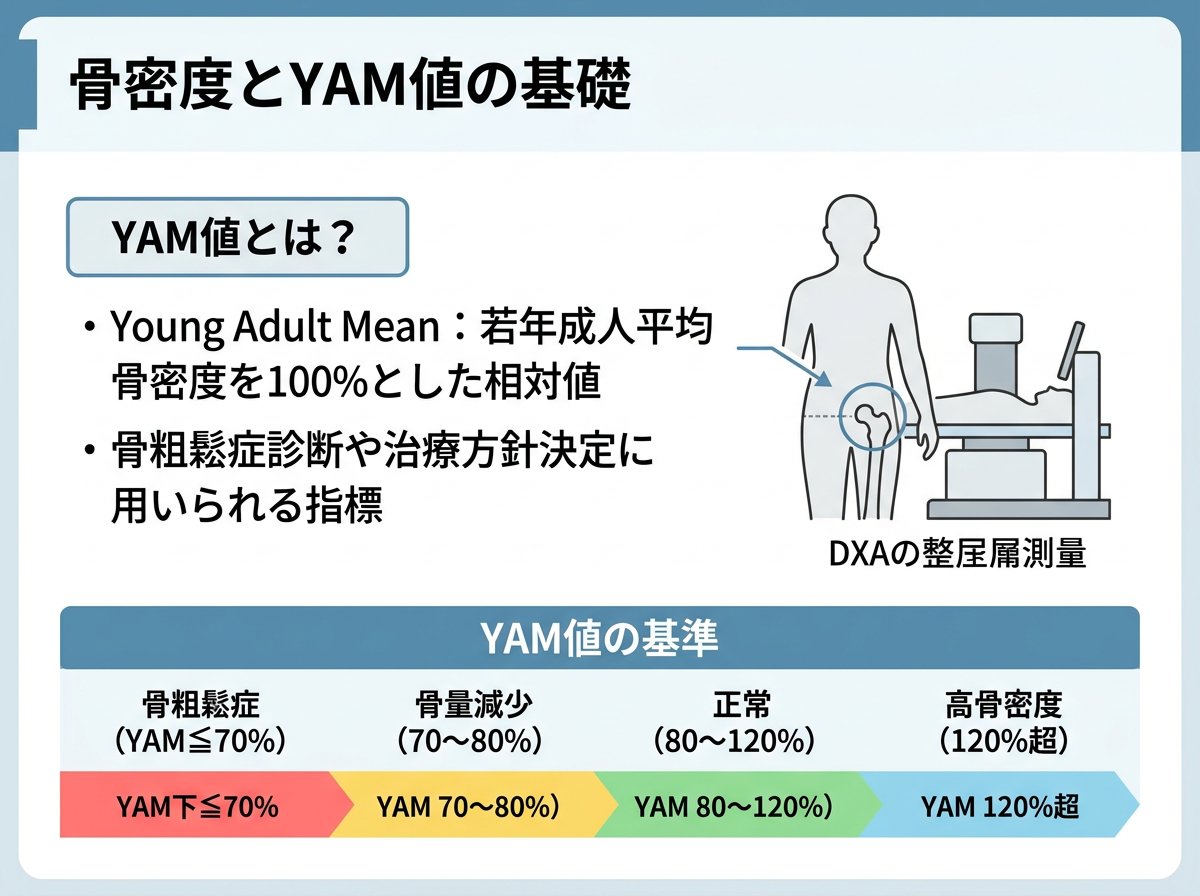 骨密度 YAM値とは何か、その基準値