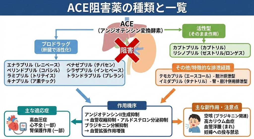 ACE阻害薬の種類と一覧
