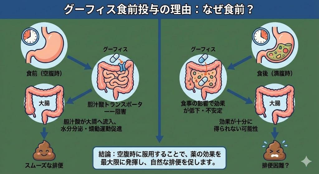 グーフィス食前投与理由