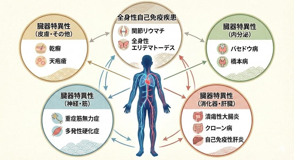 自己免疫疾患一覧と種類
