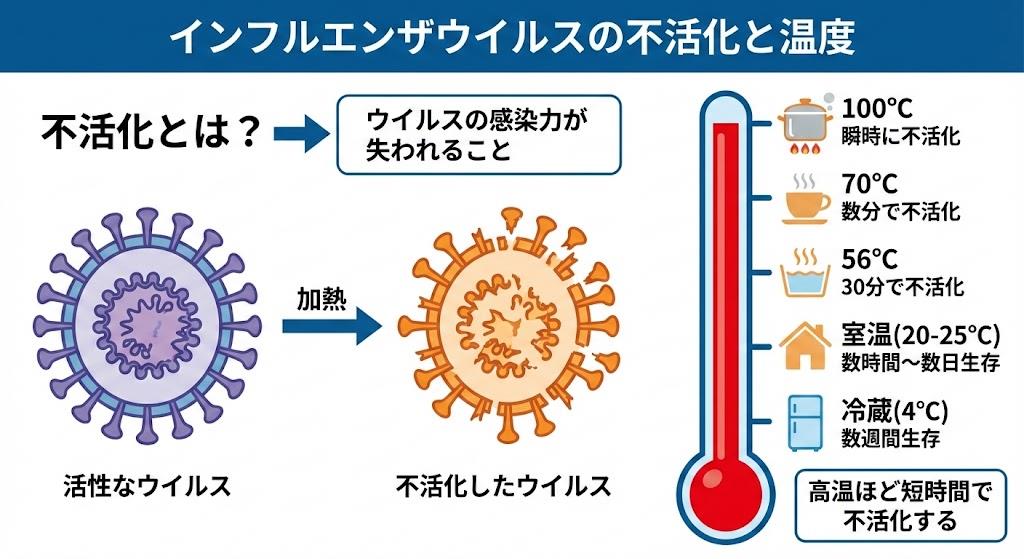 インフルエンザウイルスの死滅温度と不活化