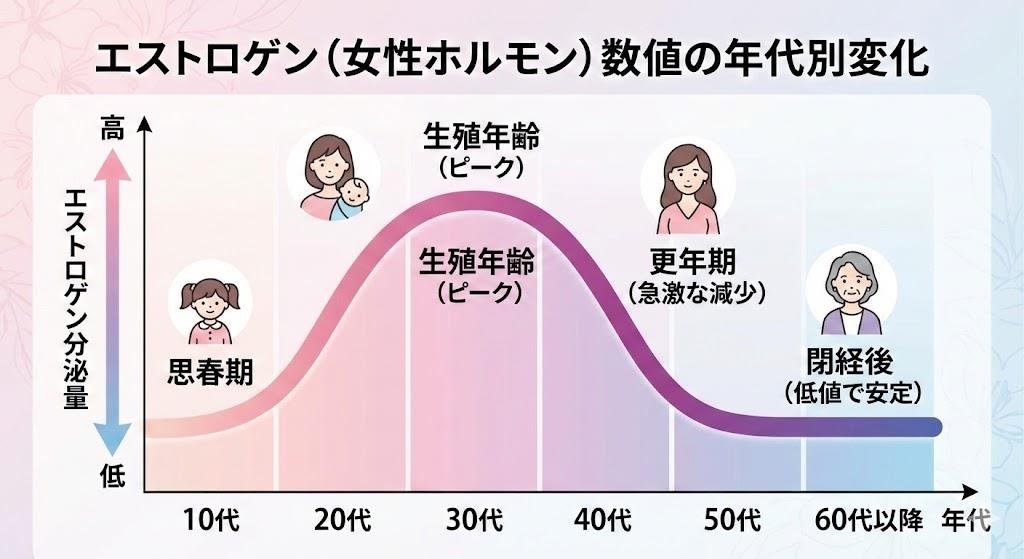 エストロゲン 数値 年代別 変化の特徴