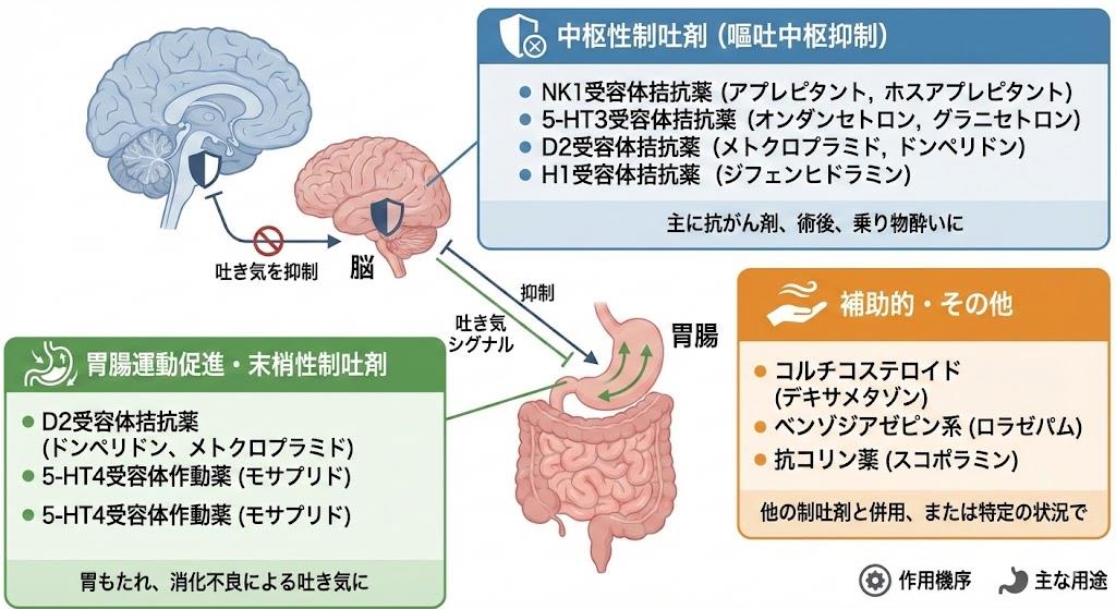 制吐剤の種類と一覧