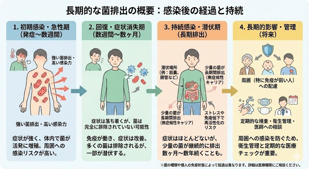 長期的な菌排出