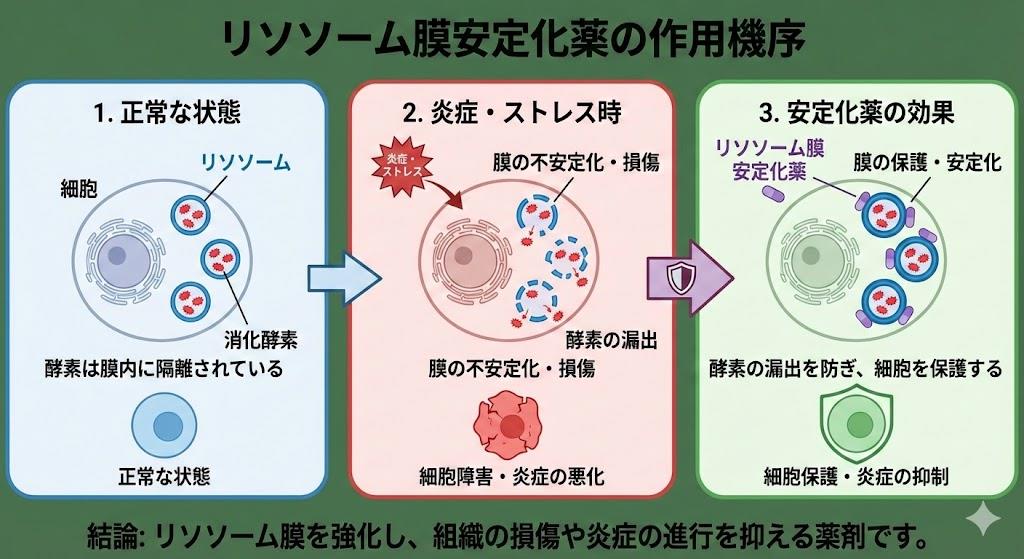 リソソーム膜安定化薬