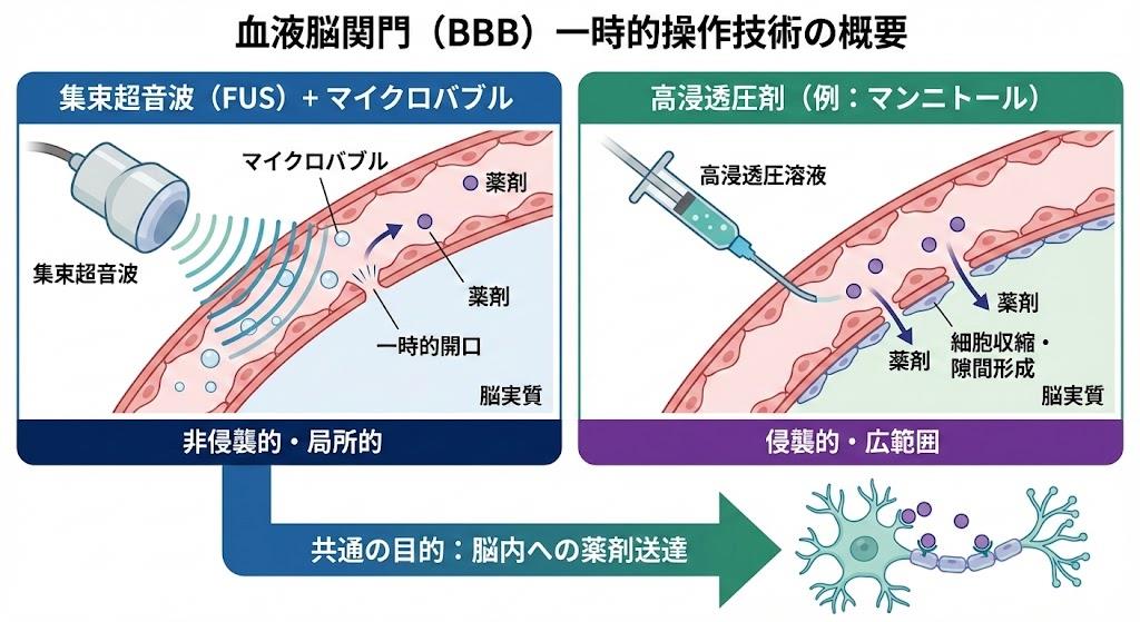 血液脳関門の一時的操作技術