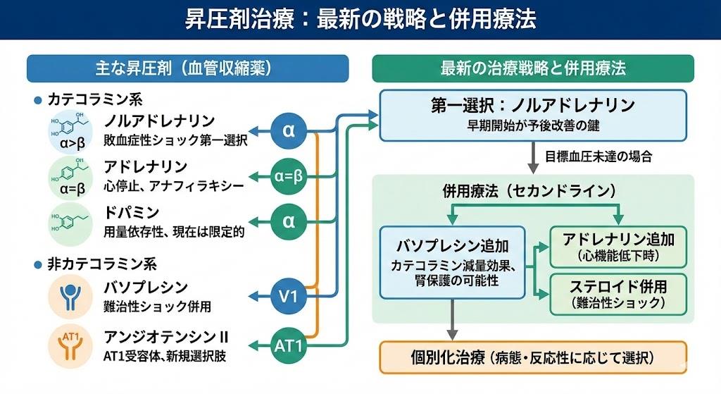昇圧剤の一覧：最新の治療戦略と併用療法