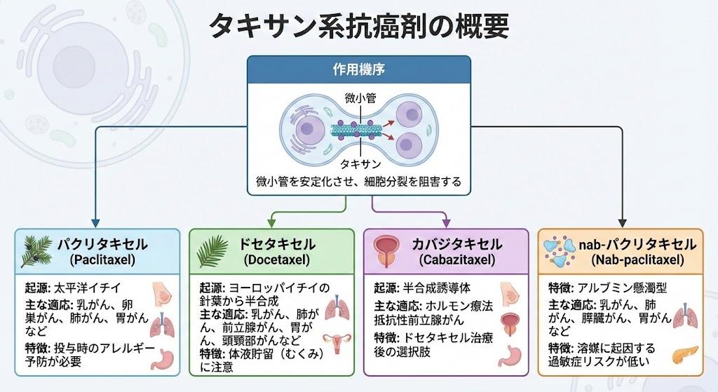 タキサン系抗癌剤一覧