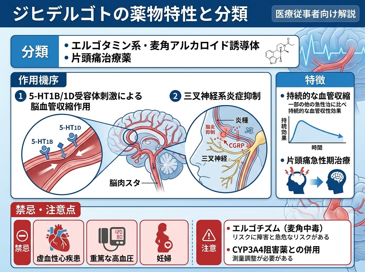 ジヒデルゴトの基本的な薬物特性と分類