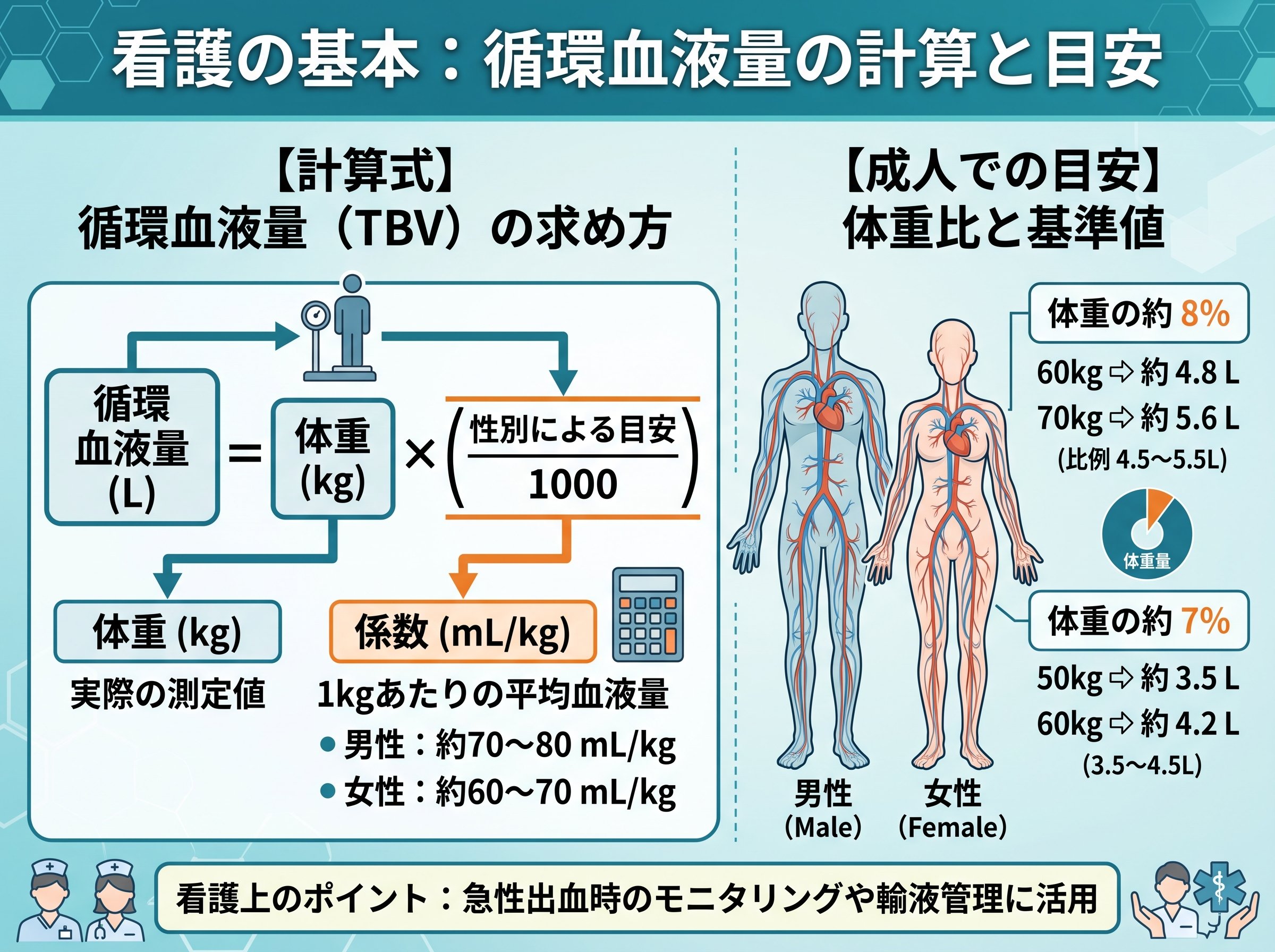 循環血液量 計算 看護の基本式と成人での目安