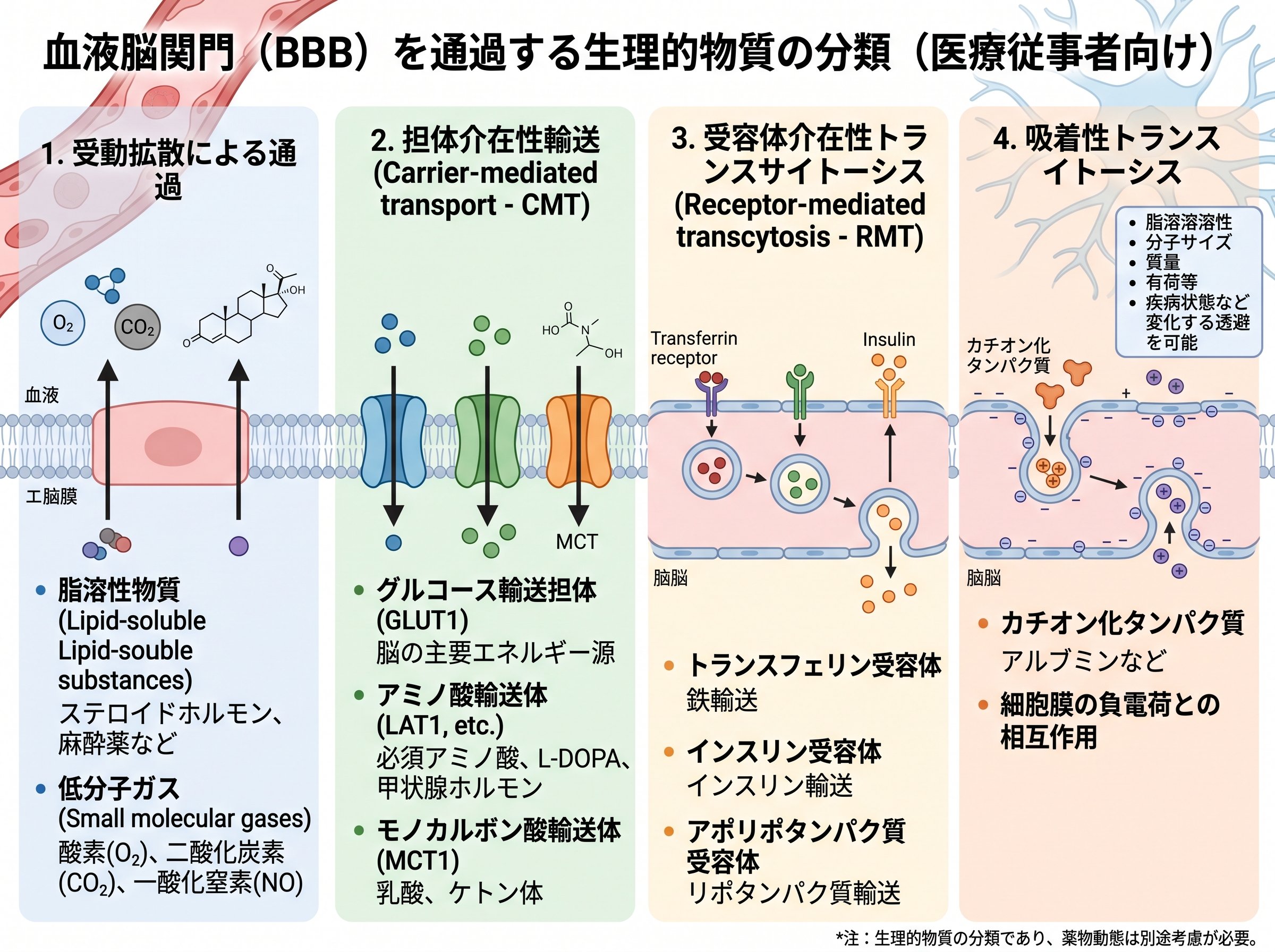 血液脳関門を通過する生理的物質の分類