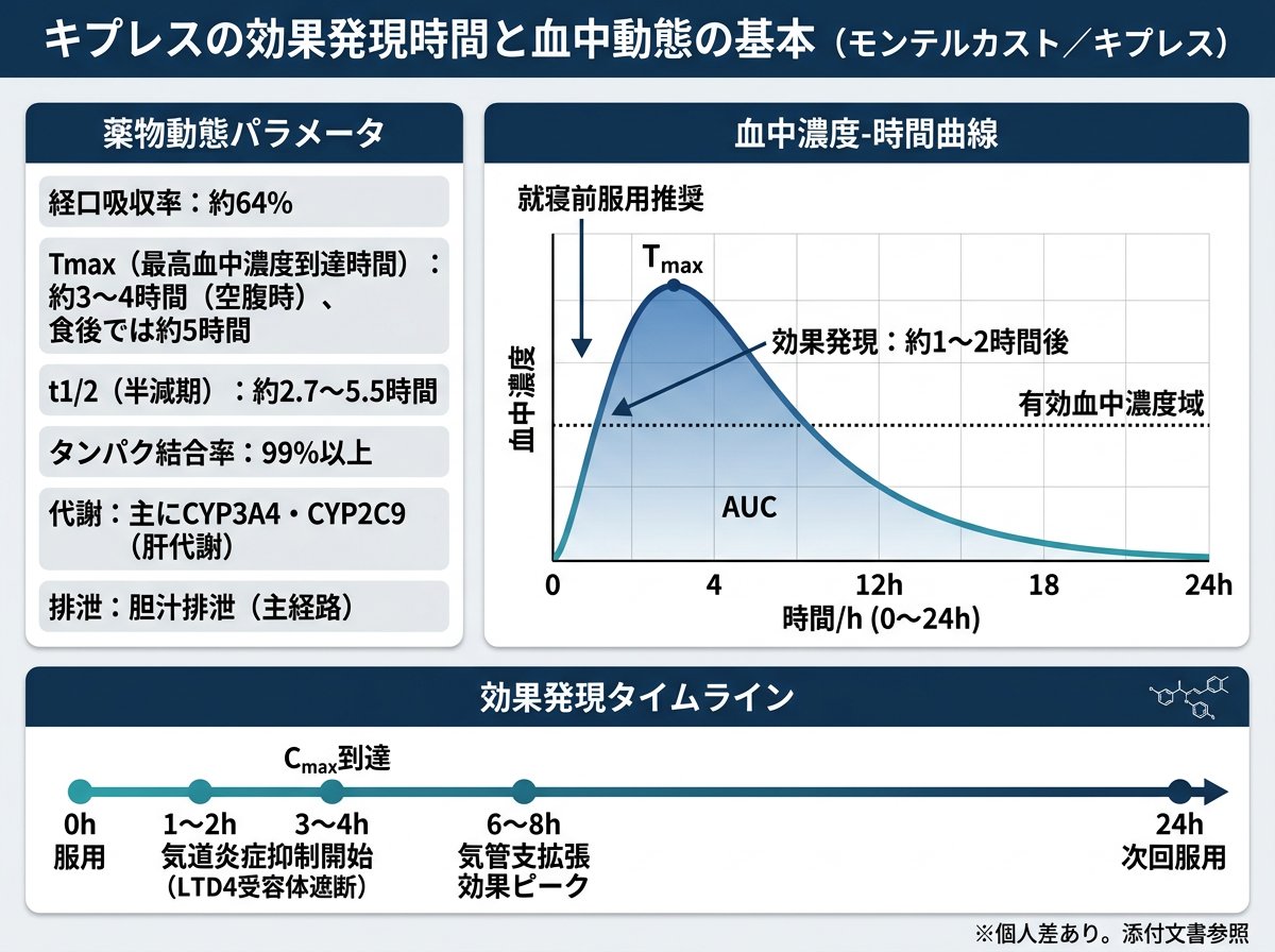 キプレスの効果発現時間と血中動態の基本