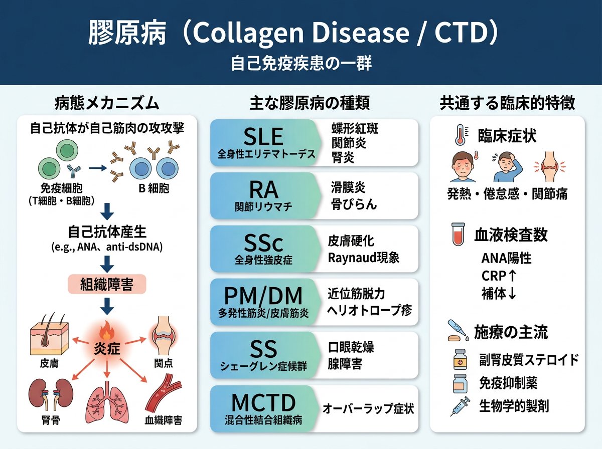 膠原病とは：自己免疫疾患としての特徴と種類
