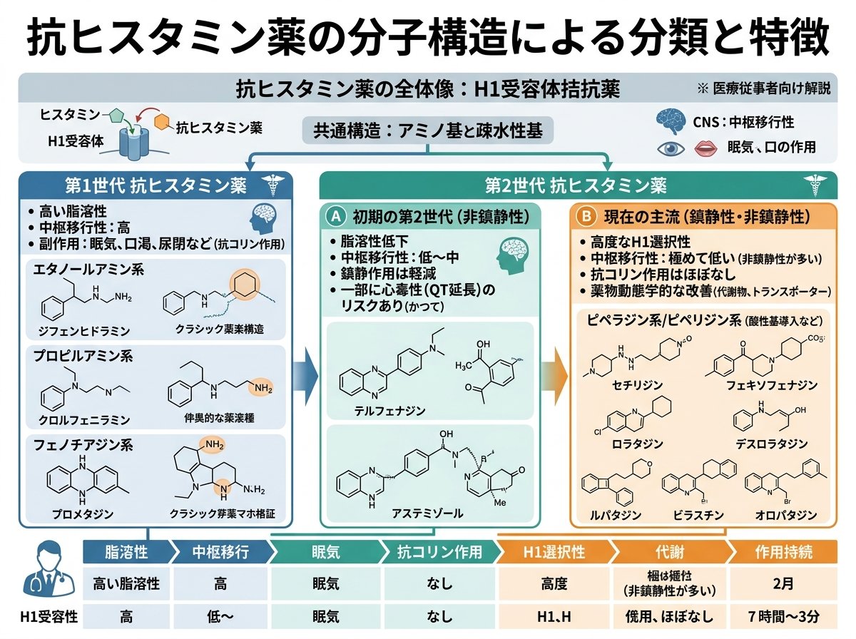 抗ヒスタミン薬の分子構造による分類と特徴