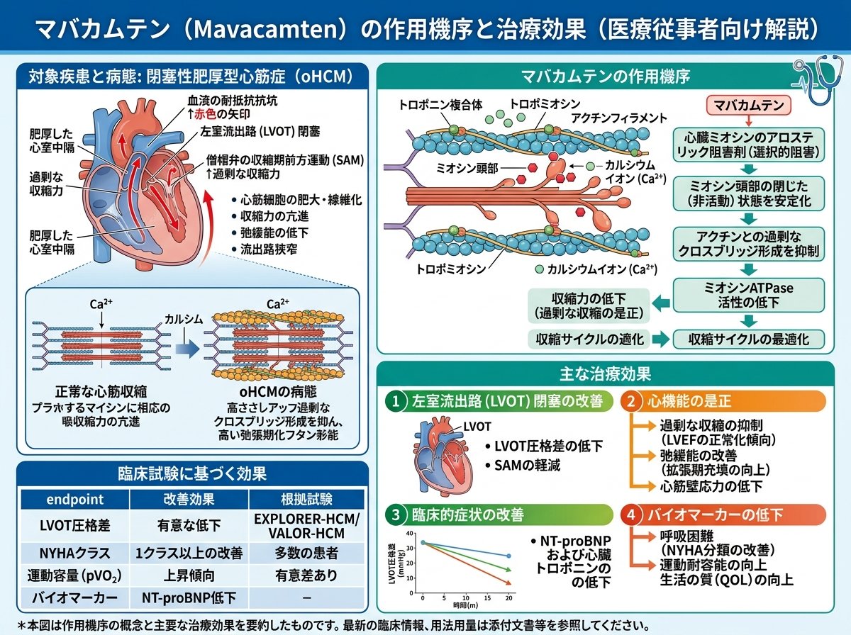 マバカムテンの作用機序と治療効果