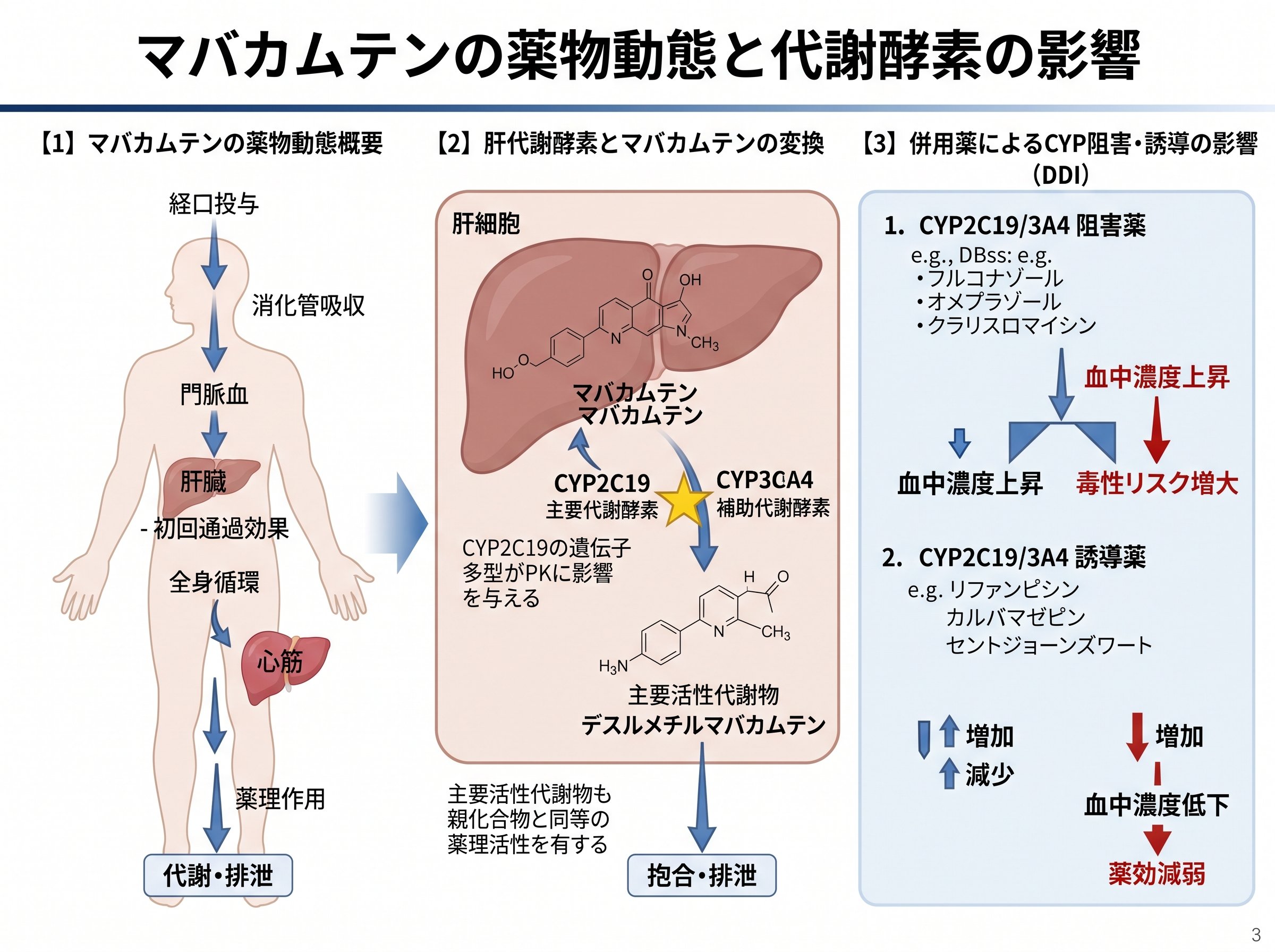 マバカムテンの薬物動態と代謝酵素の影響