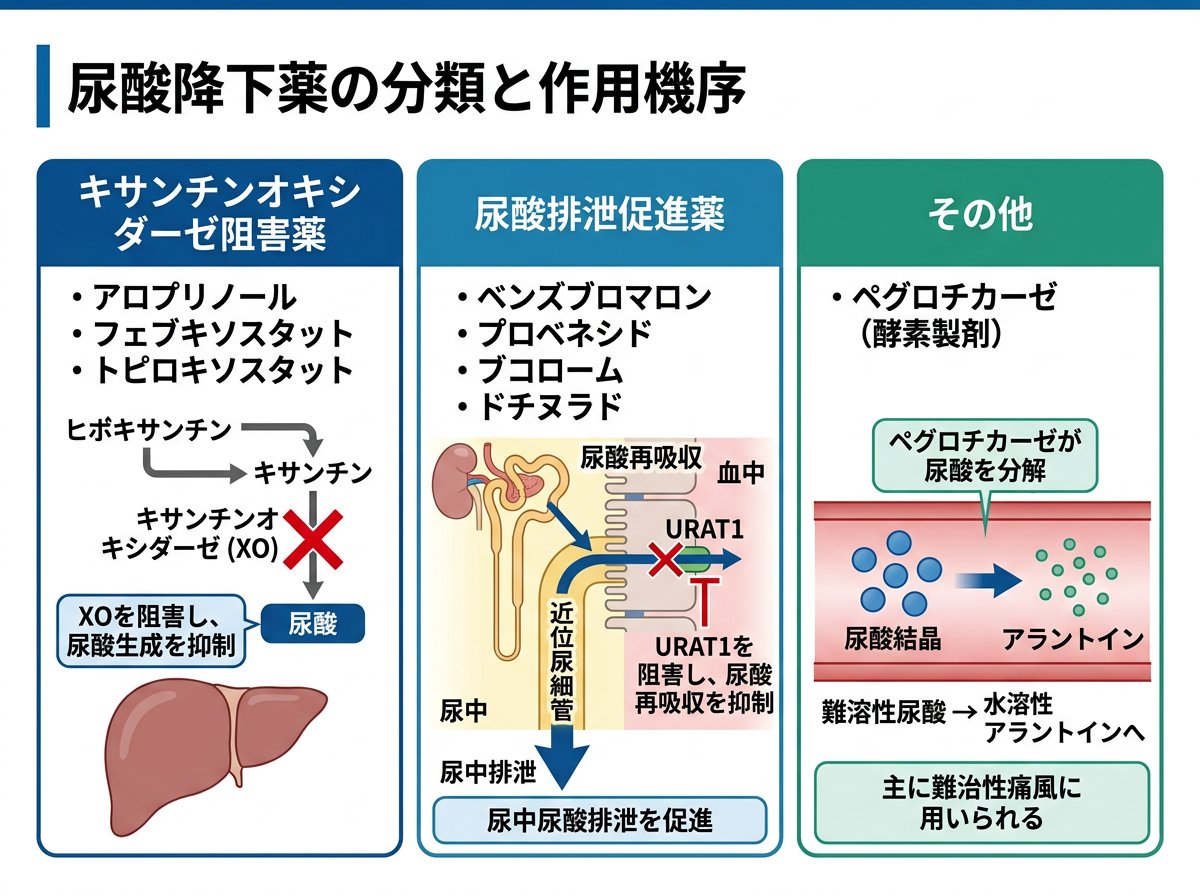 尿酸 薬の分類と作用機序について