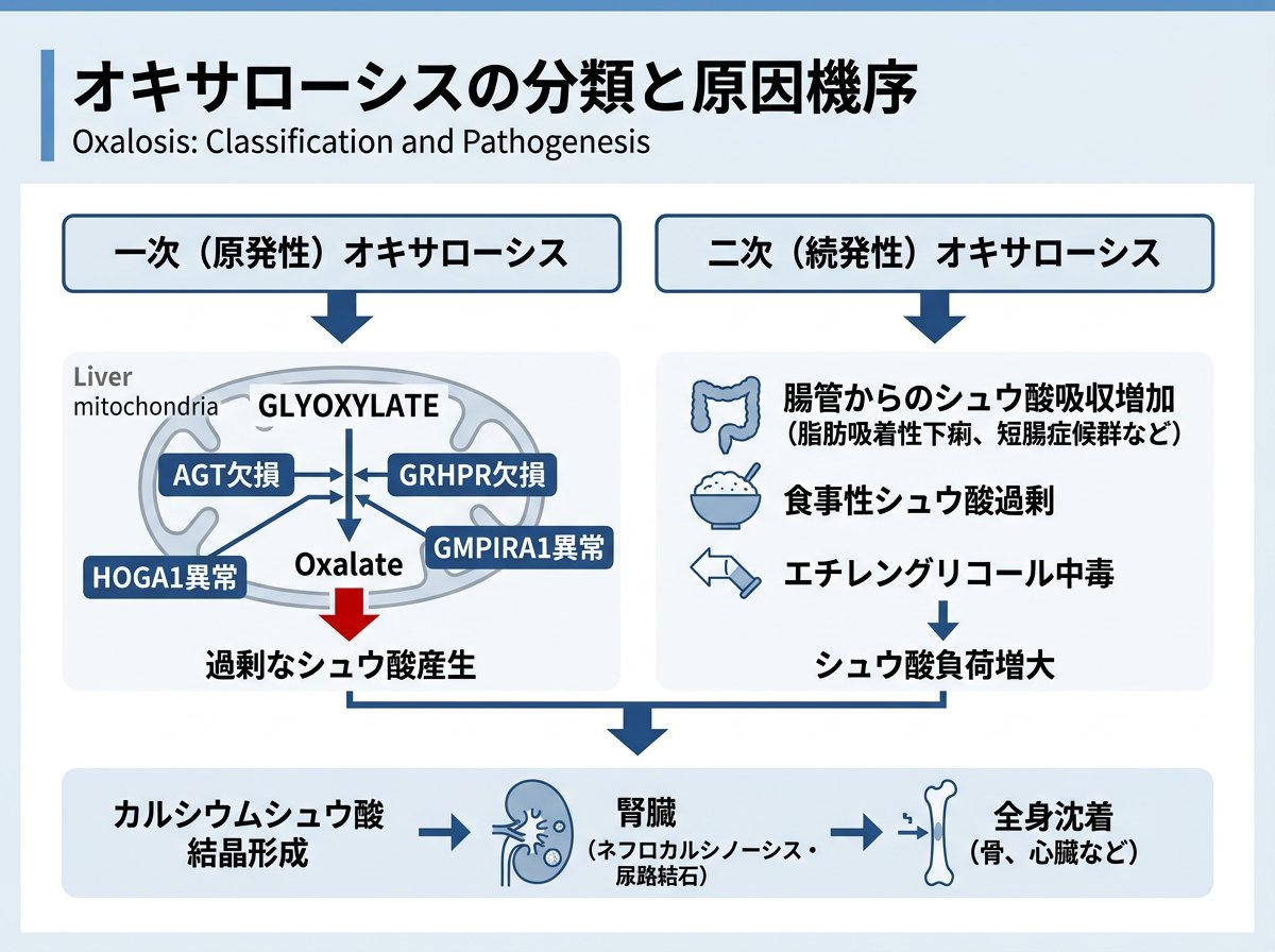 オキサローシスの分類と原因機序