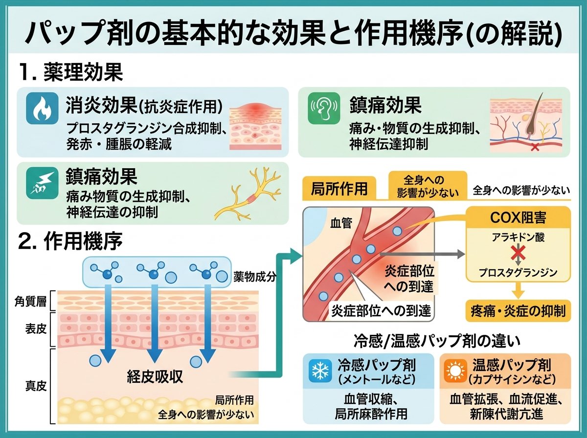 パップ剤の基本的な効果と作用機序