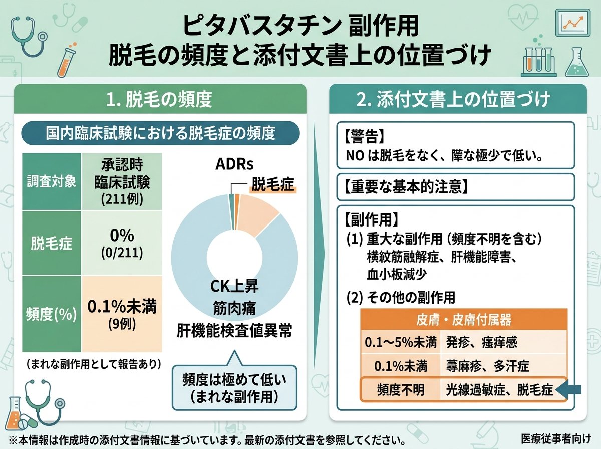 ピタバスタチン 副作用 脱毛の頻度と添付文書上の位置づけ