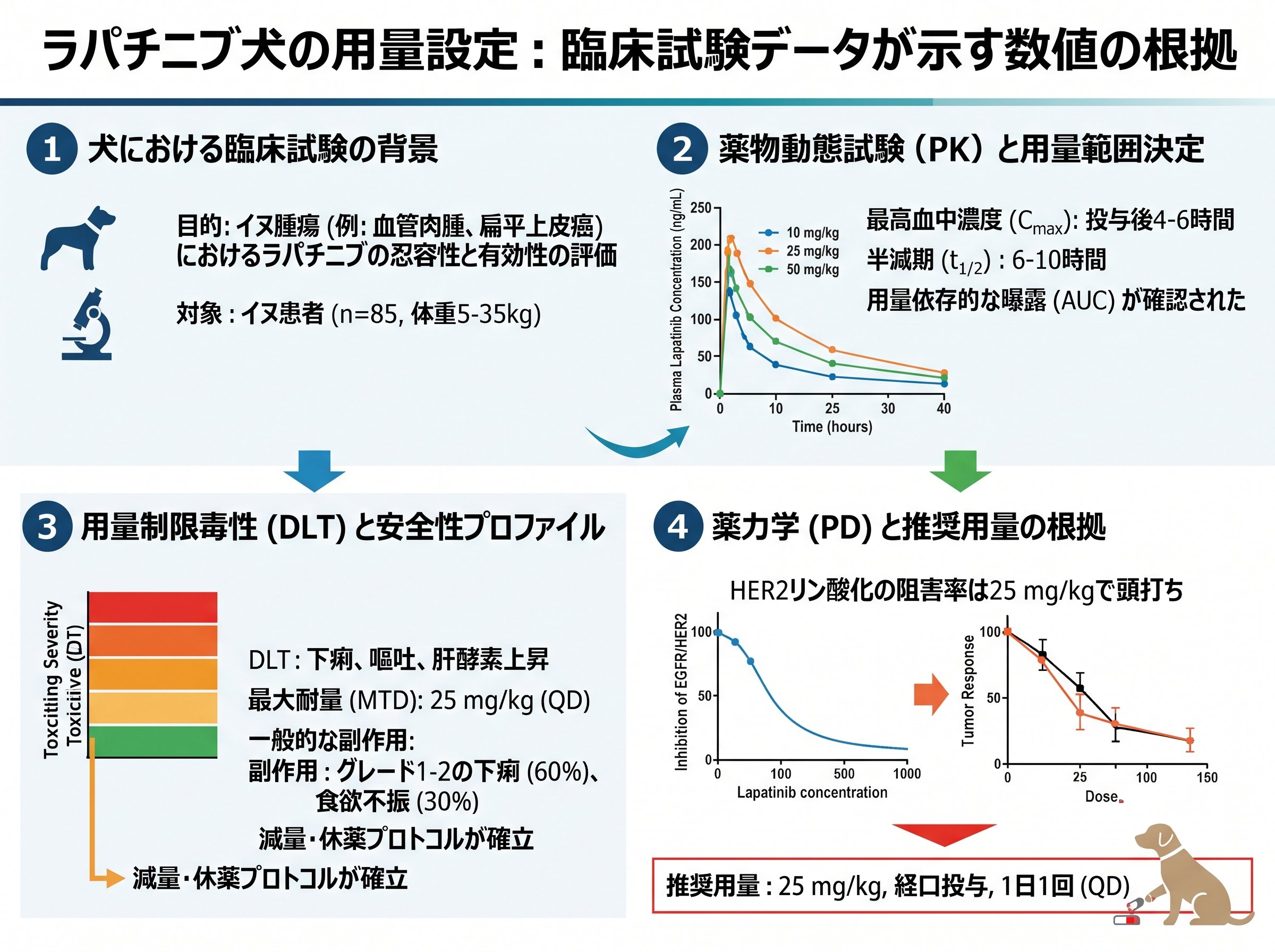 ラパチニブ犬の用量設定:臨床試験データが示す数値の根拠