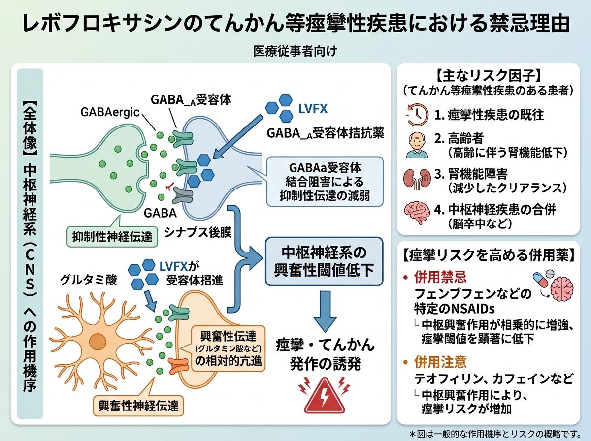 レボフロキサシンのてんかん等痙攣性疾患における投与上の注意