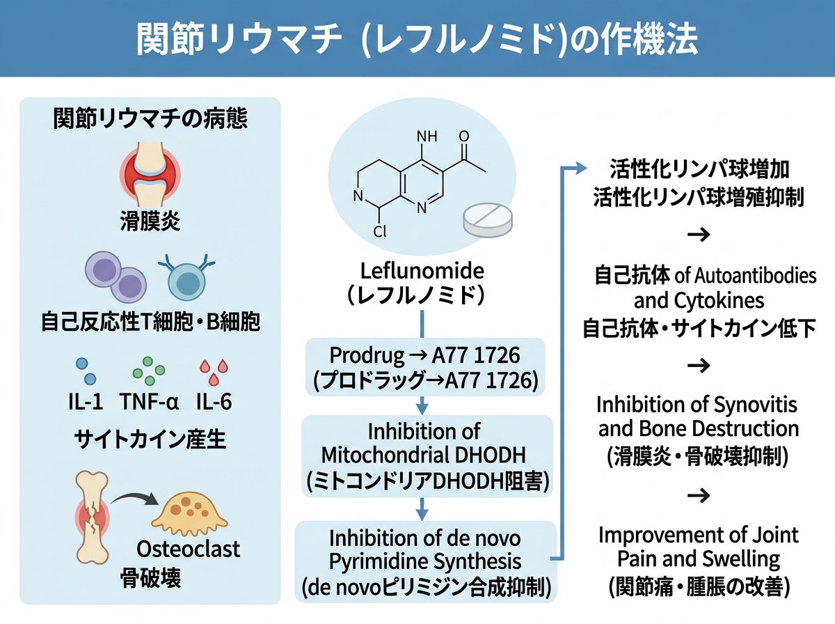 レフルノミドの作用機序と関節リウマチへの効果