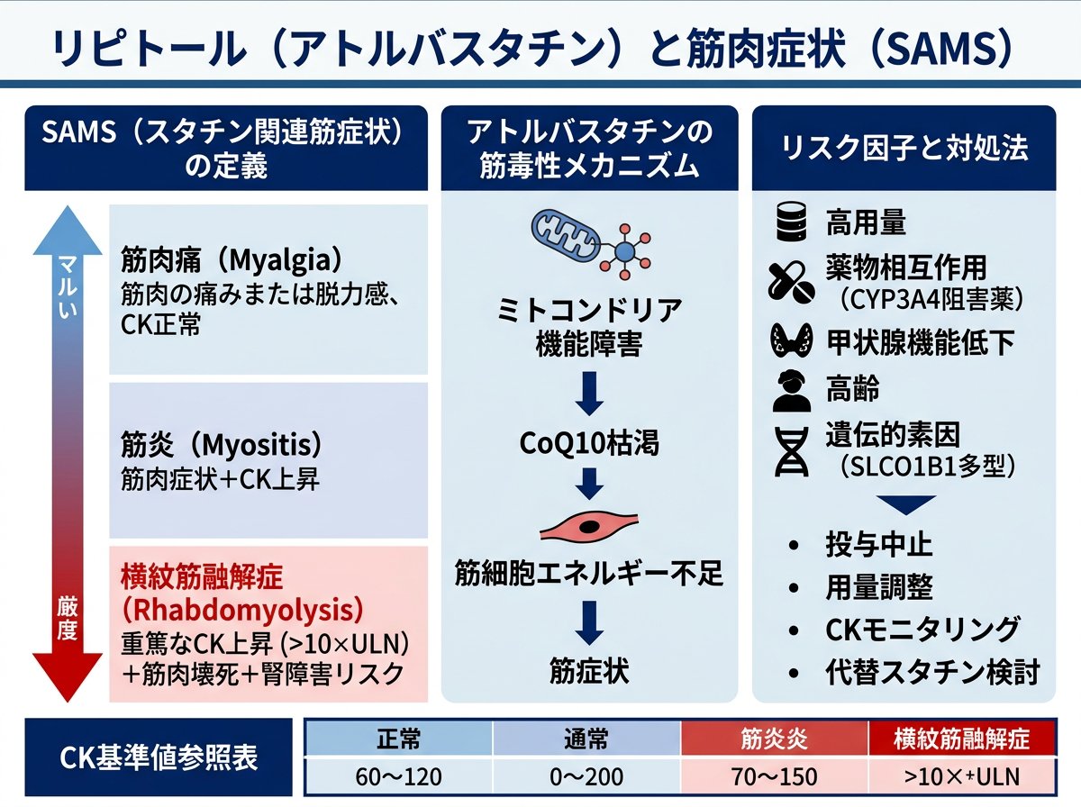リピトール（アトルバスタチン）の筋肉痛とSAMSの定義