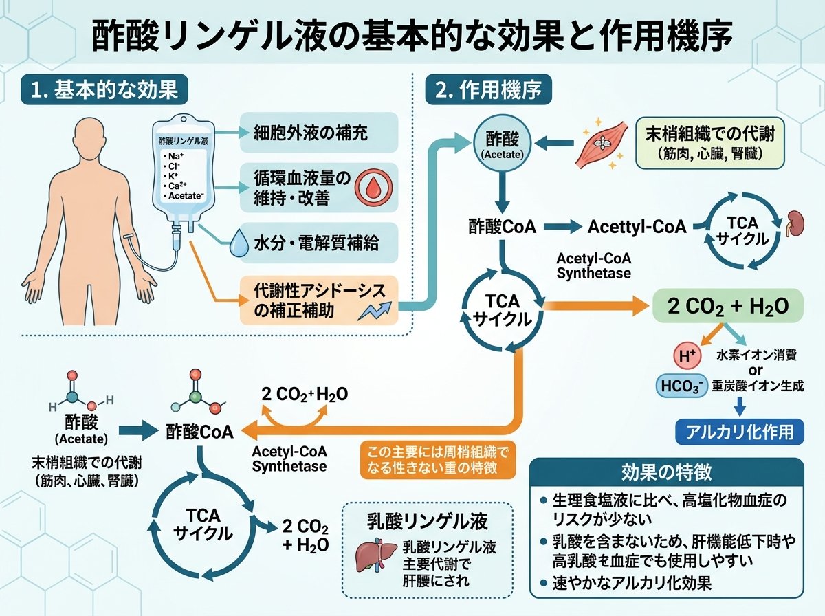 酢酸リンゲル液の基本的な効果と作用機序